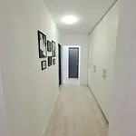 Appartamento Joy Circumvalatiunii 47 Timisoara