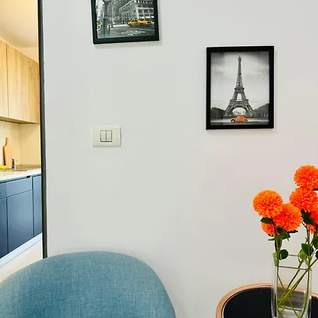 Joy Circumvalatiunii 47 Appartement Timişoara