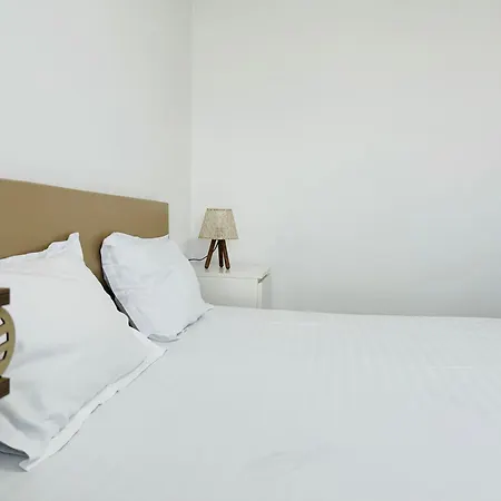 Joy Circumvalatiunii 47