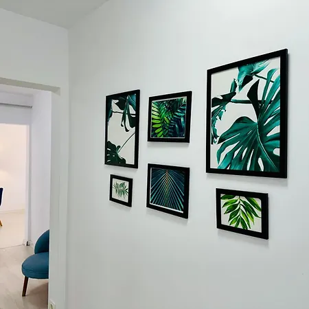 Joy Circumvalatiunii 47 *