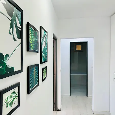 Joy Circumvalatiunii 47 تيميشورا