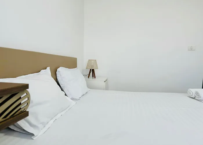 Joy Circumvalatiunii 47