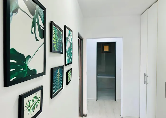 Joy Circumvalatiunii 47 Timişoara