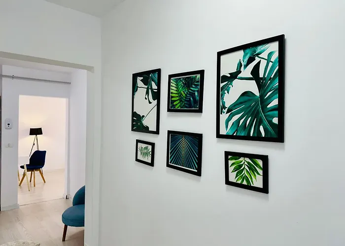 Joy Circumvalatiunii 47 *